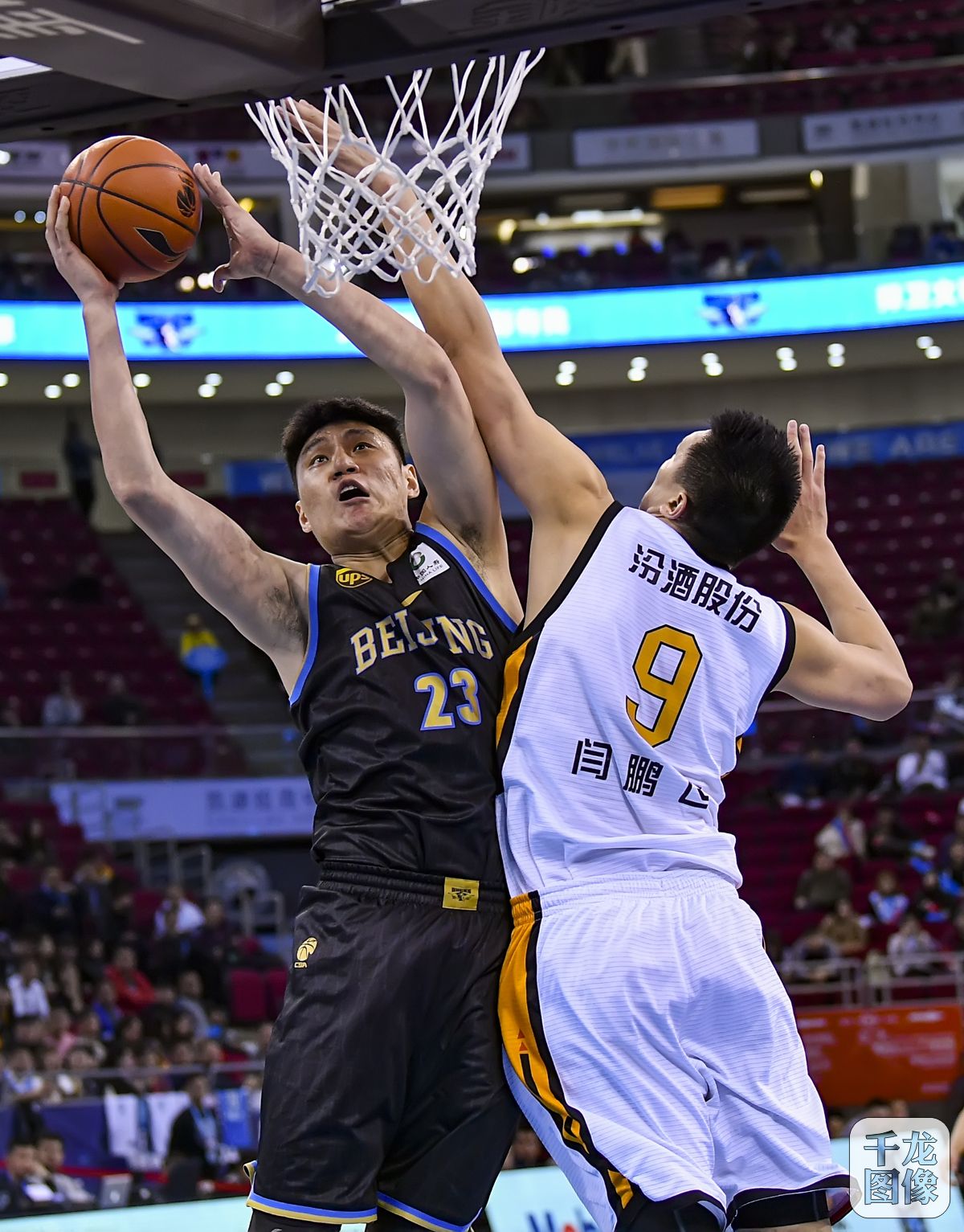 求教练科学 求教练科学