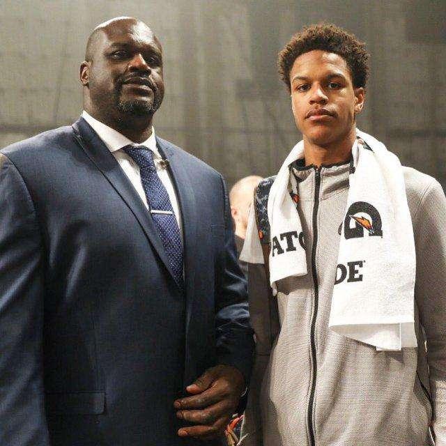 的火腿历练 的火腿历练