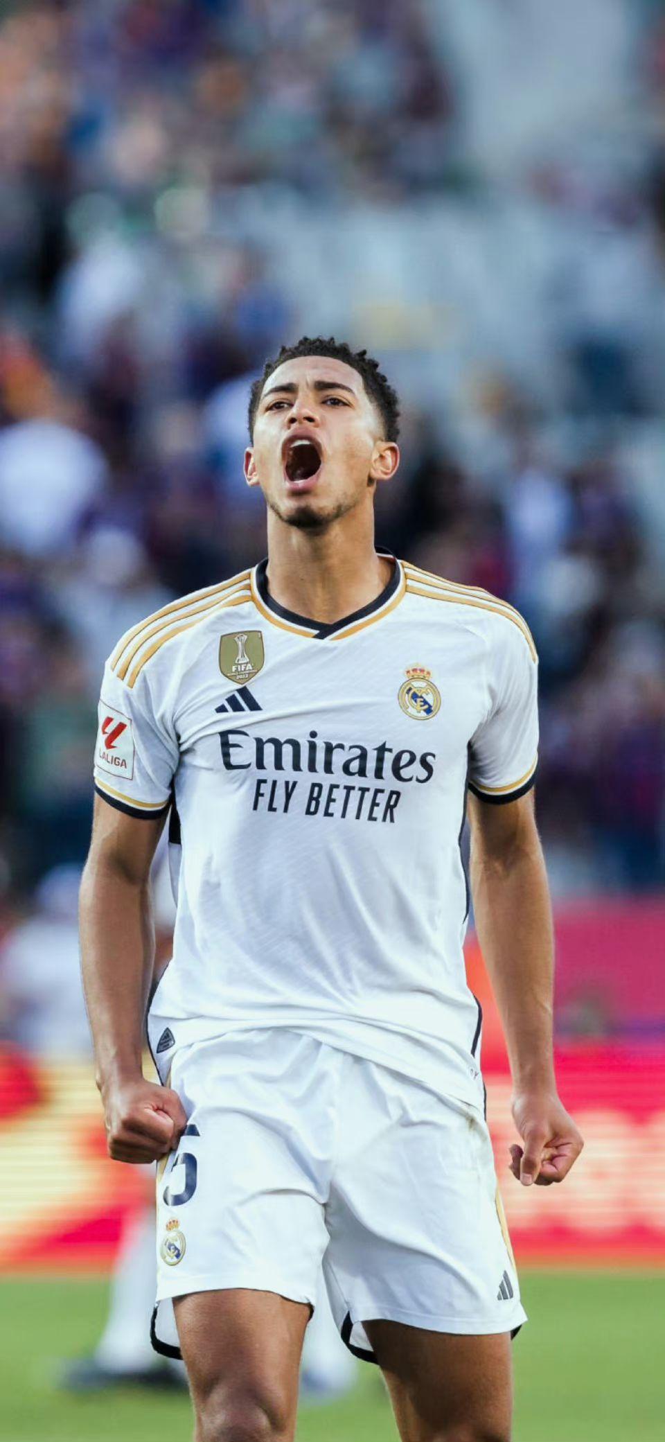 看台与弹幕 看台与弹幕